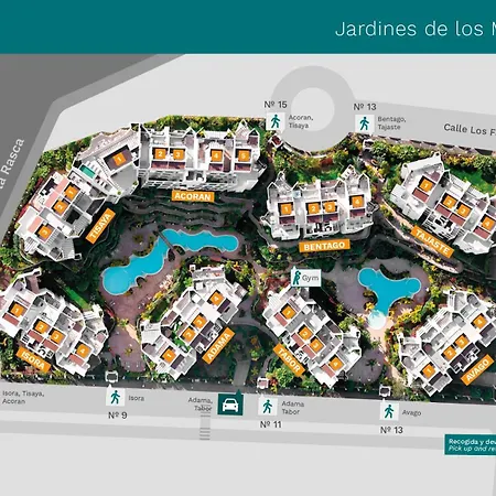 Jardines - Tabor 2 1 Pool View 2b 度假居 滨海帕尔姆